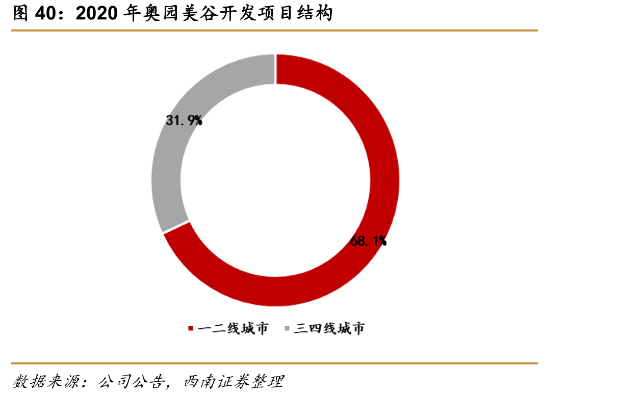 2020年奥园美谷开发项目结构