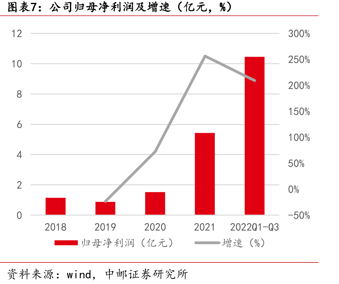 公司股权结构（截至招股说明书发布日）_第5页