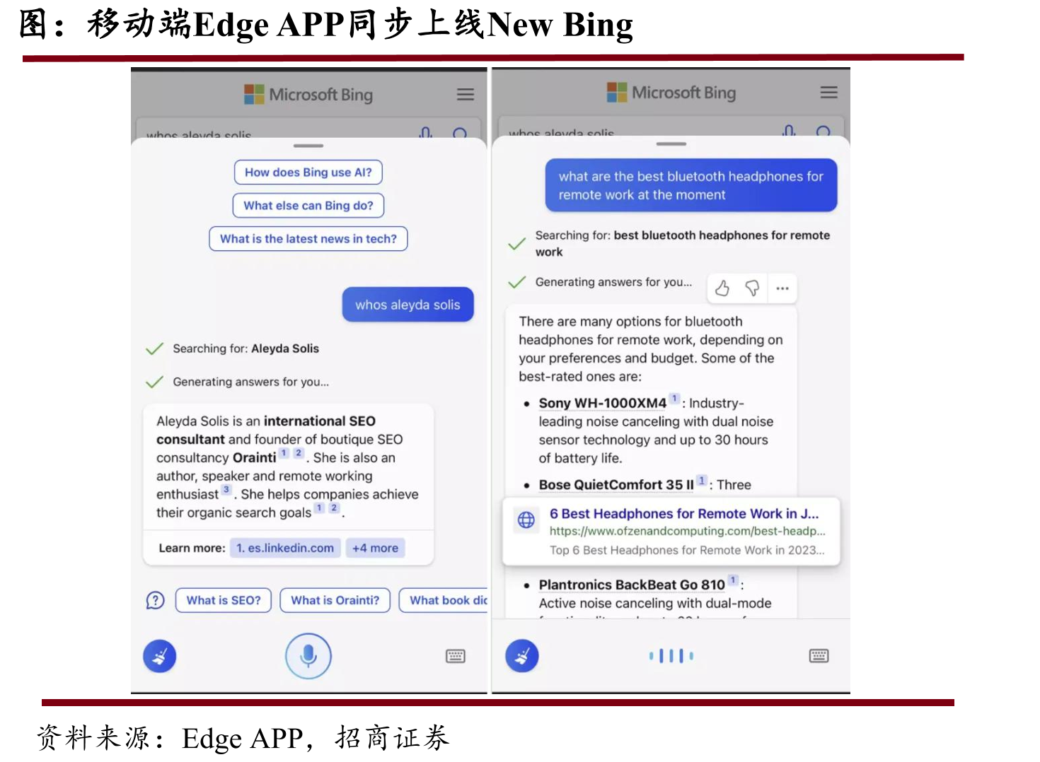 各月份Opera全球浏览器市场占有率_第5页
