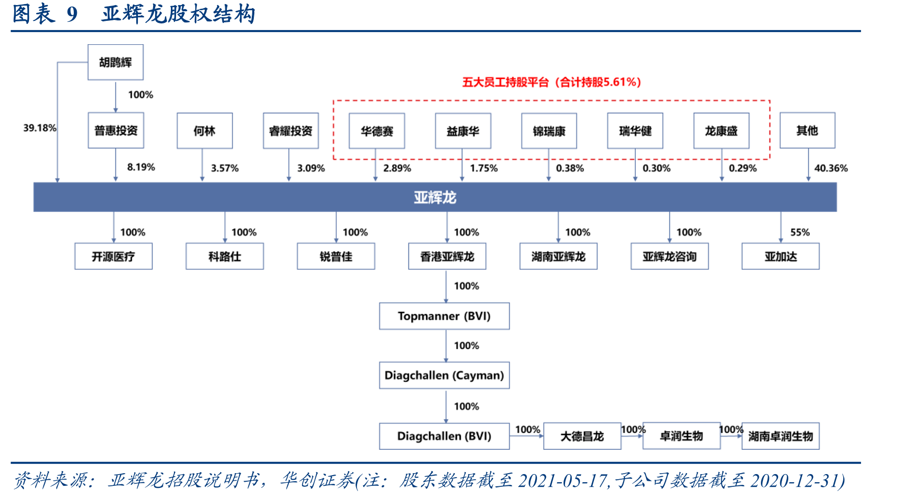 图表9亚辉龙股权结构