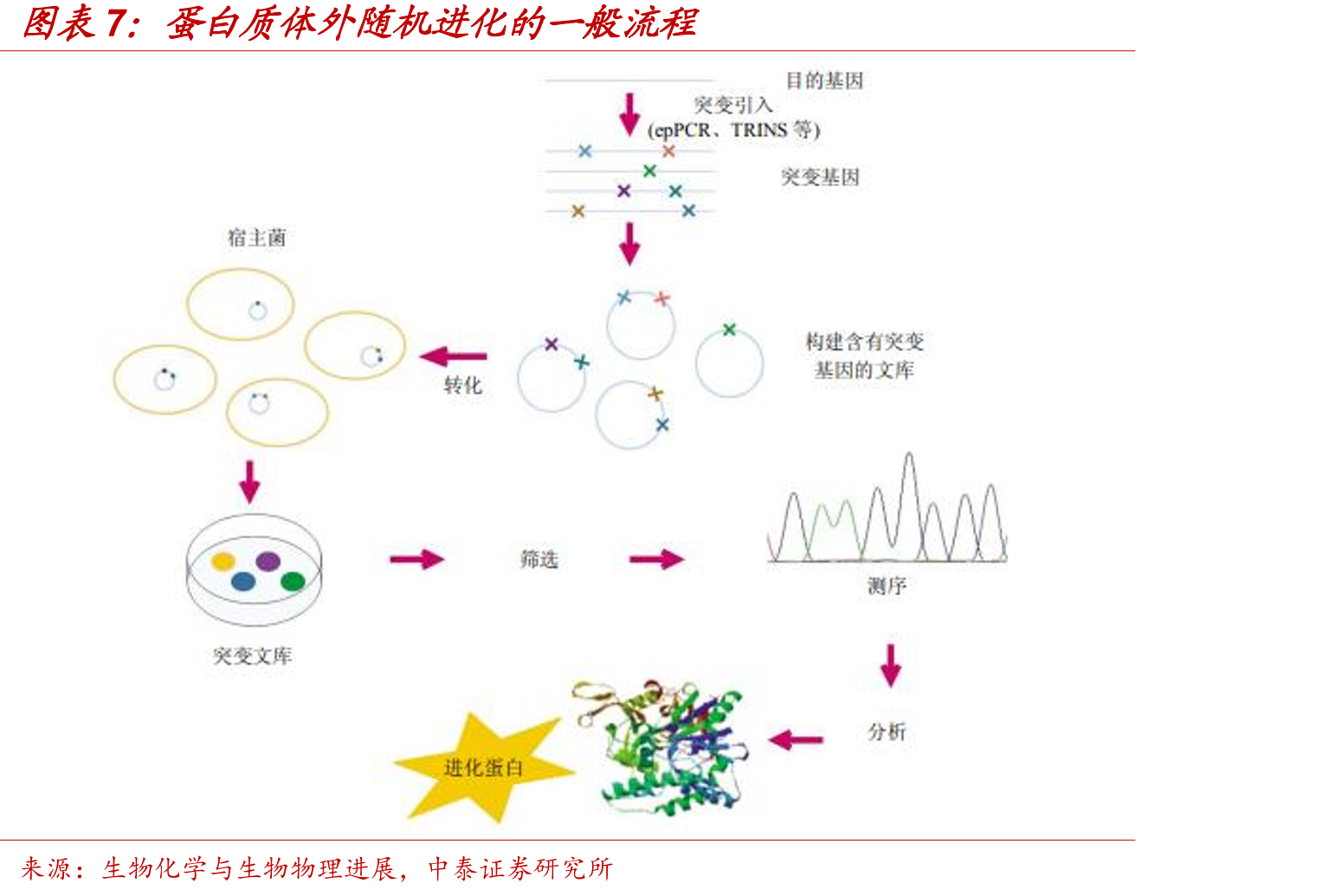 中国生物科学研究资金投入（十亿元）_第3页