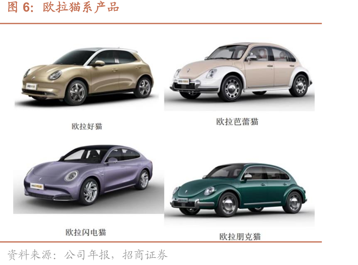长城汽车智能化发展历程_第5页