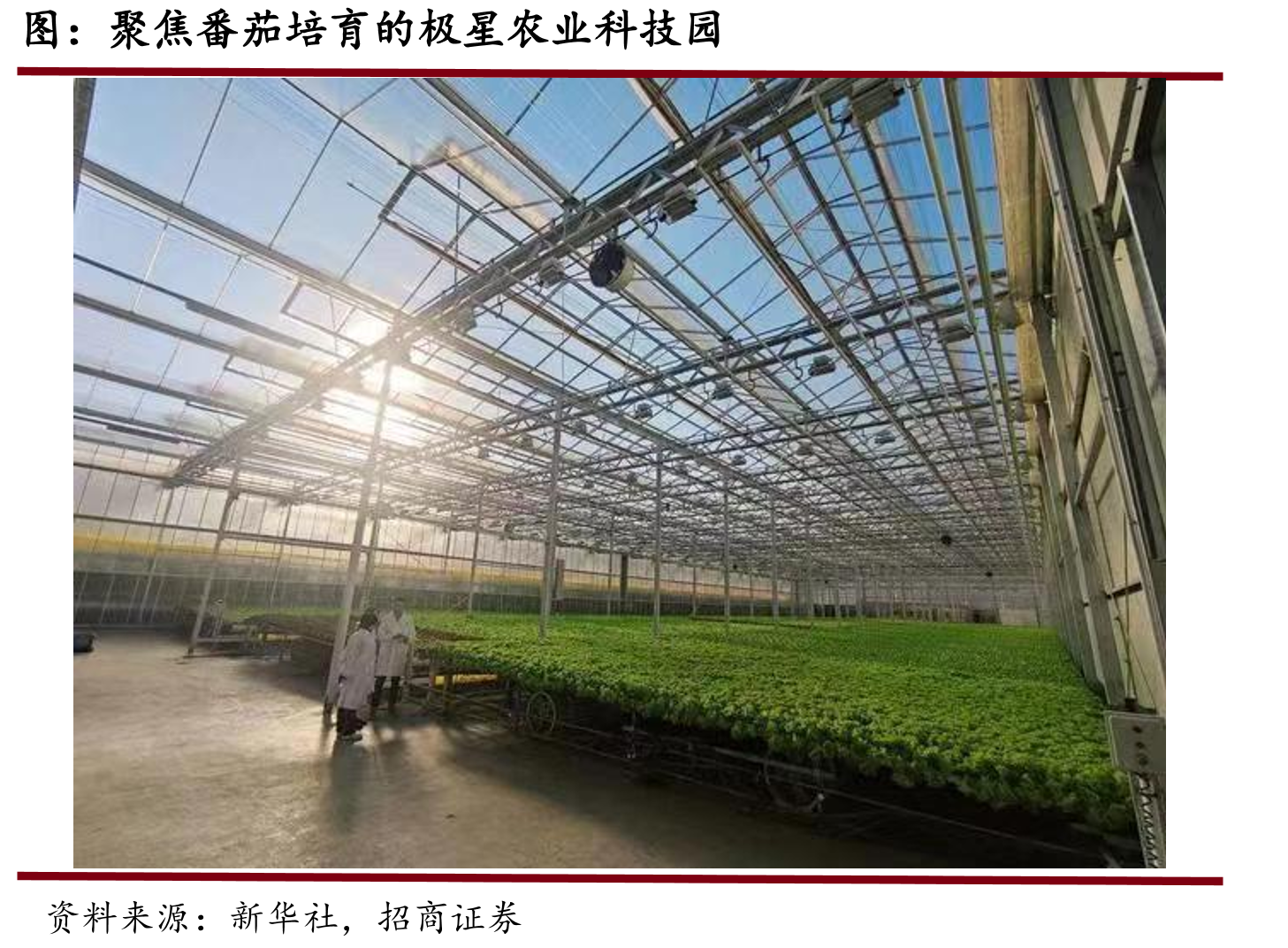 全国考研报名人数及同比增速_第5页