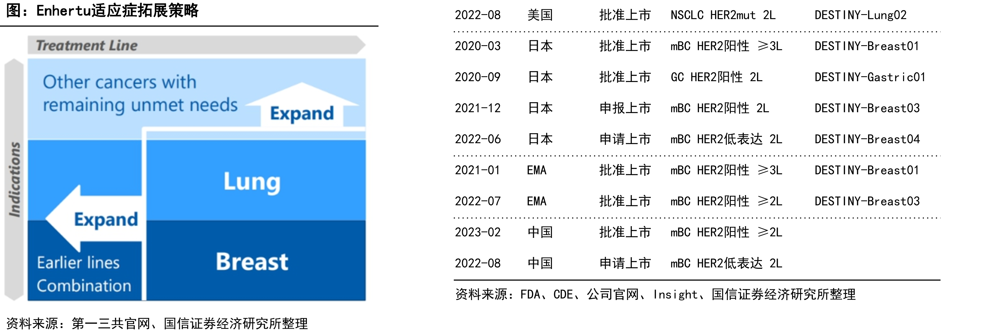 Enhertu适应症拓展策略2022-08美国批准上市NSCLCHER2mut2LDESTINY-Lung02