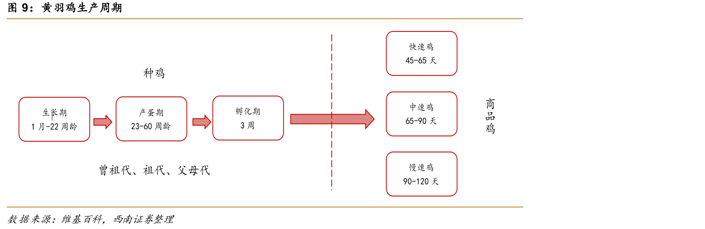 公司主要屠宰加工项目规划建设情况_第5页