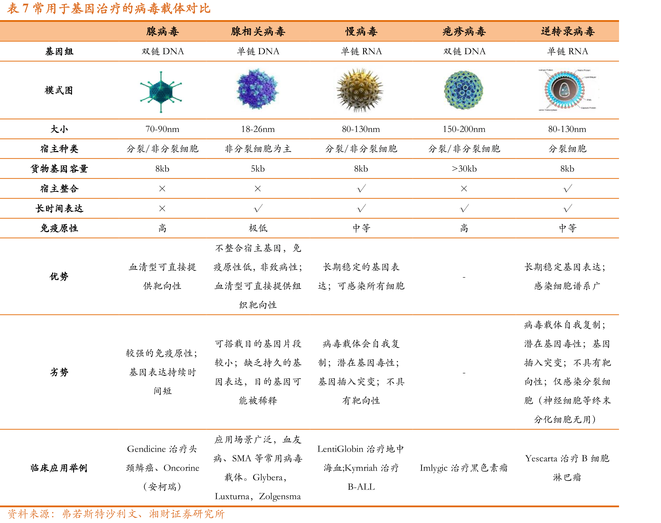 图13CAR-T结构不同于以往的化学小分子结构_第4页
