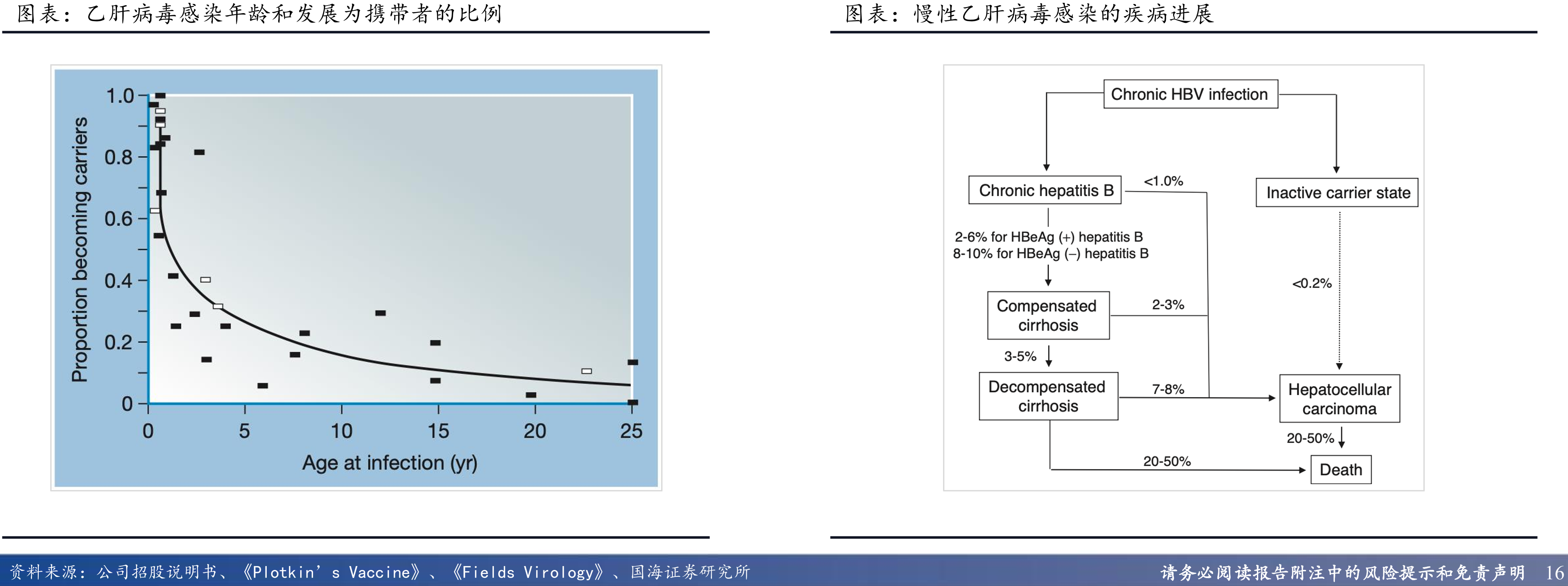 乙肝病毒感染年龄和发展为携带者的比例