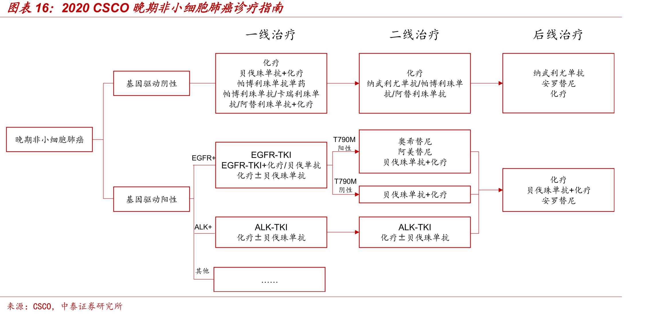 2020CSCO晚期非小细胞肺癌诊疗指南