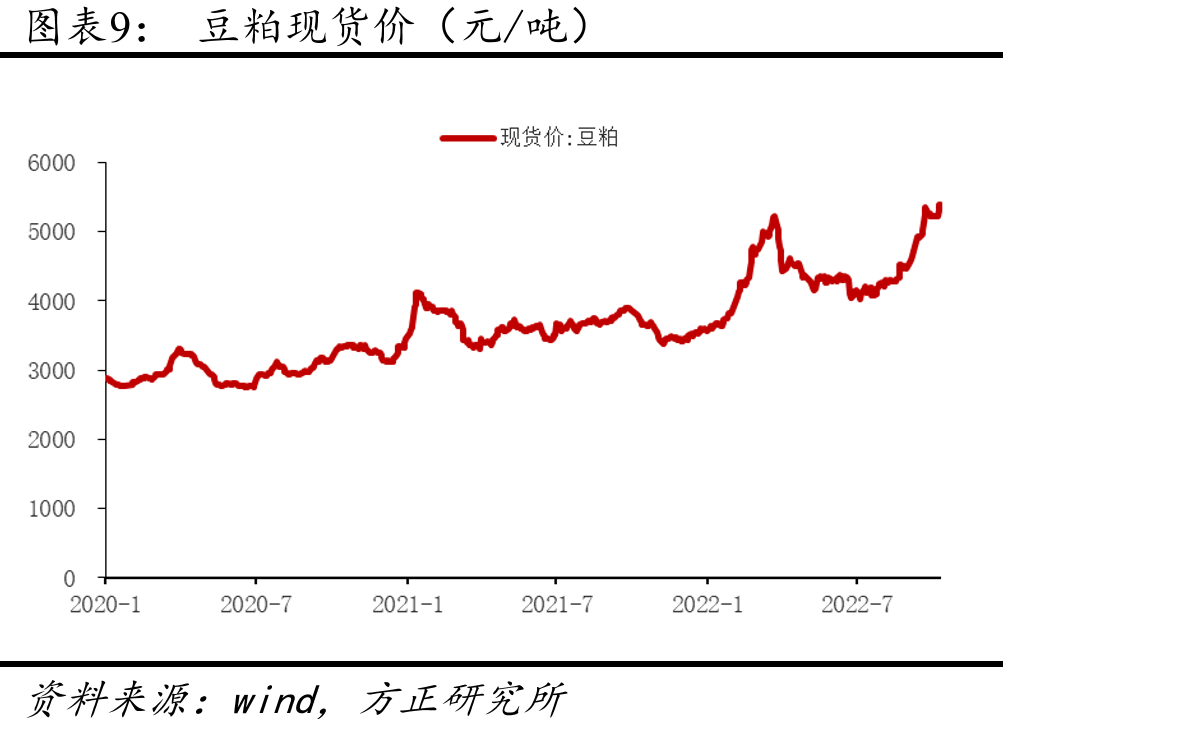 全国规模以上饲料企业及产量占比_第2页