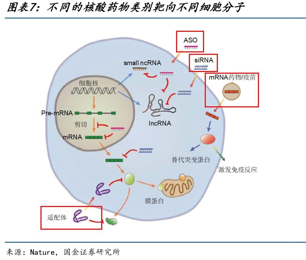 19-20年投融资高峰助力近些年全球小核酸临_第4页