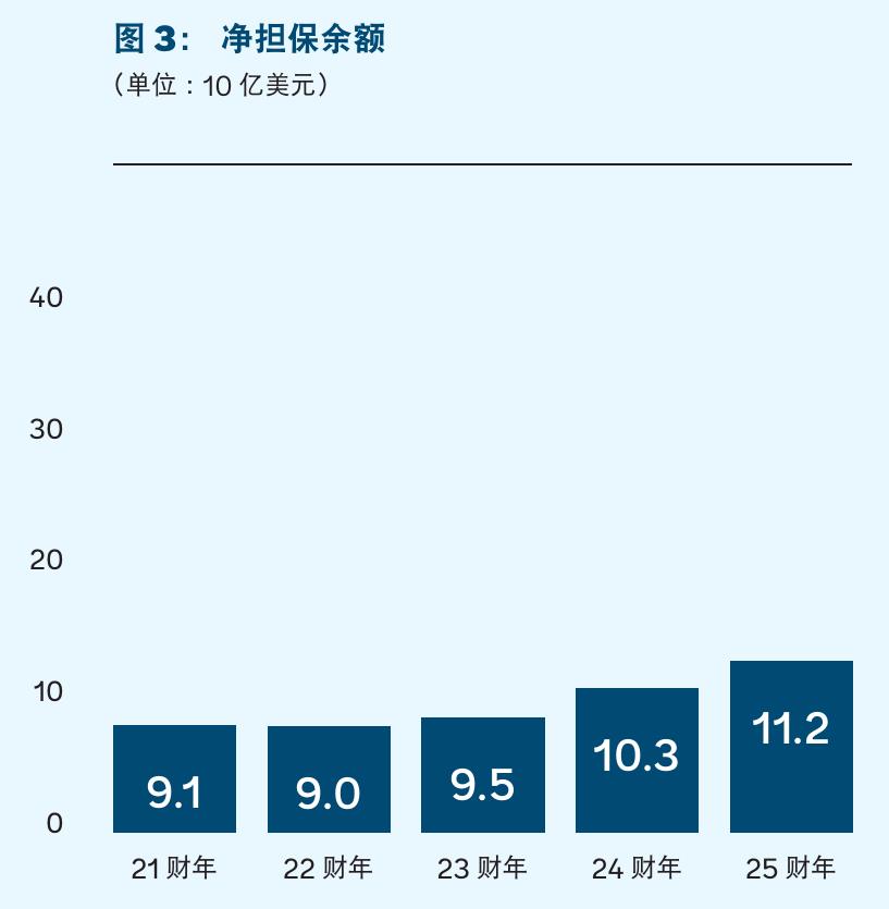 表21：2025财年咨询服务项目支出_第4页