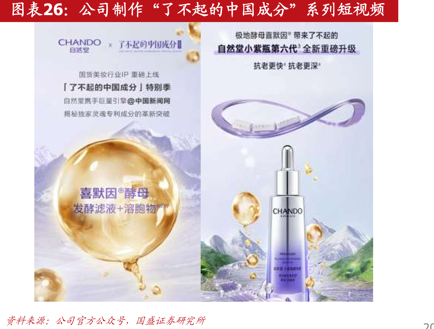 自然堂集团细分子渠道收入结构（单位：亿元）_第3页