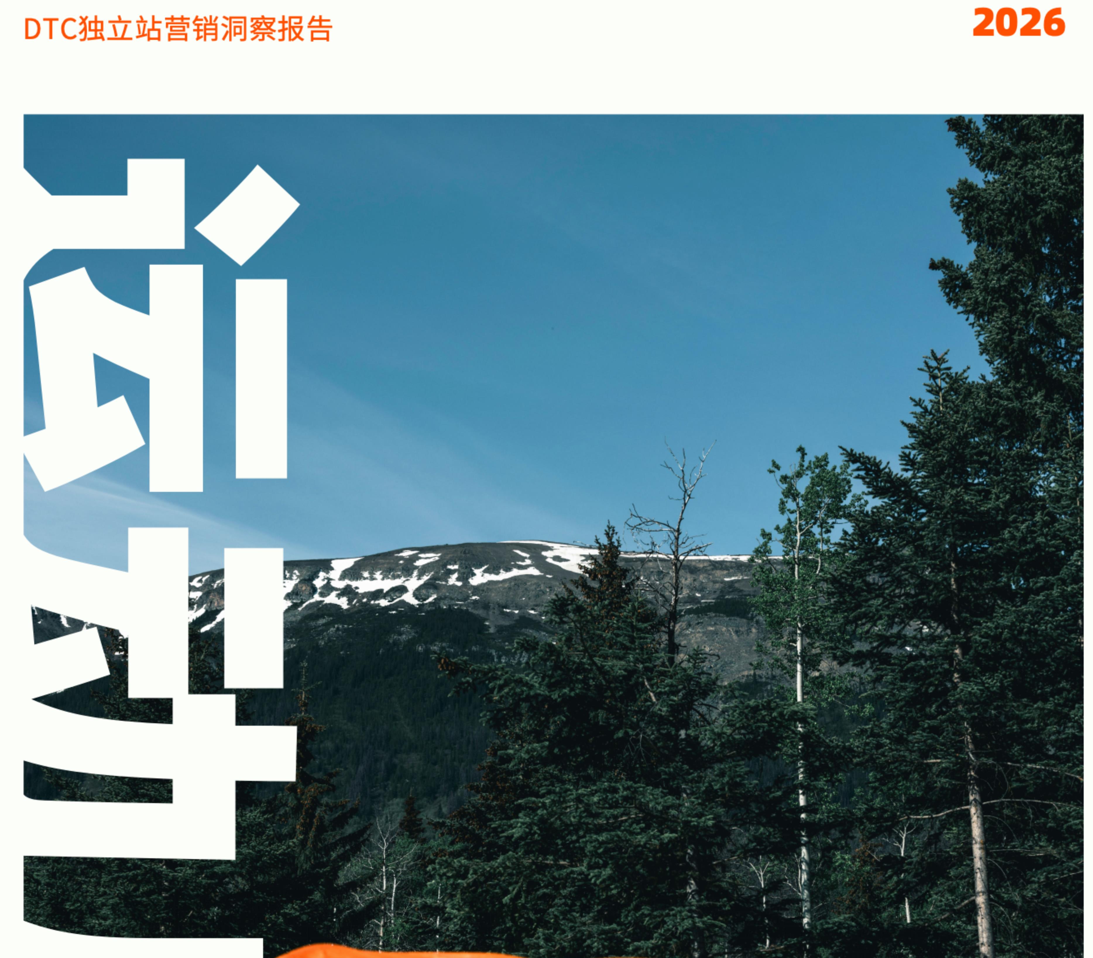 数据来源：GoodsFox，统计Meta、Google、TikTok多个媒体投放渠道的广告素材数，统计时间2025年1月-12._第5页