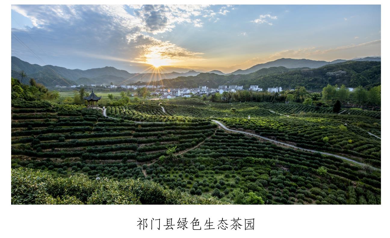 生辉，获评全国县域旅游综合竞争力白强县。_第5页