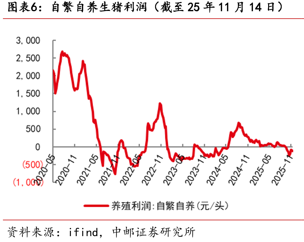 山东烟台毛鸡收购价（截至25年11月14日）_第5页