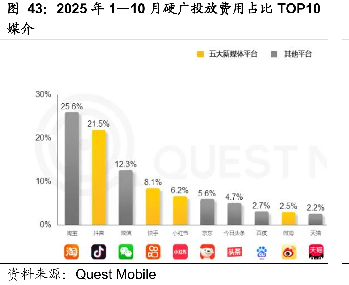 2025年1—10月硬广投放费用占比TOP10