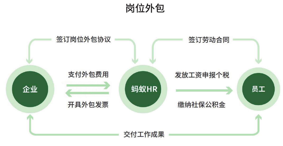 2015-2024年中国餐饮行业年收入与社零增长率变化_第3页
