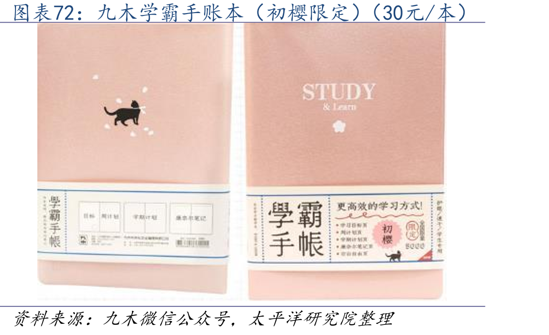 盲盒的二手交易市场情况_第4页