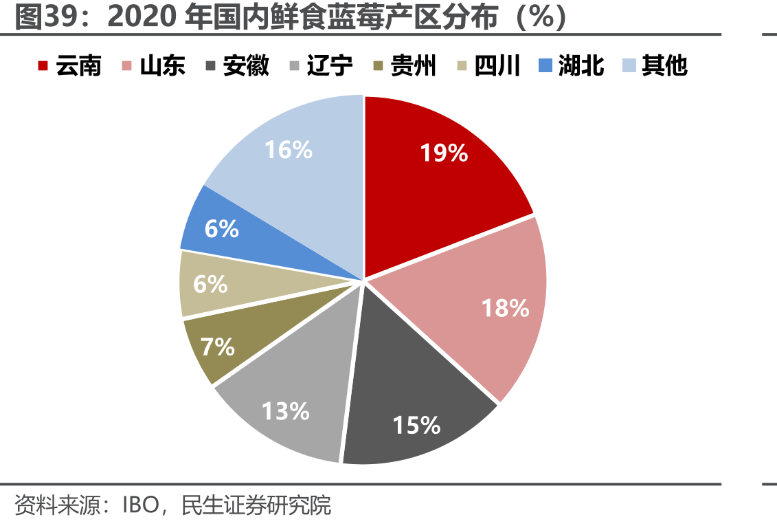 2020年国内鲜食蓝莓产区分布（%）
