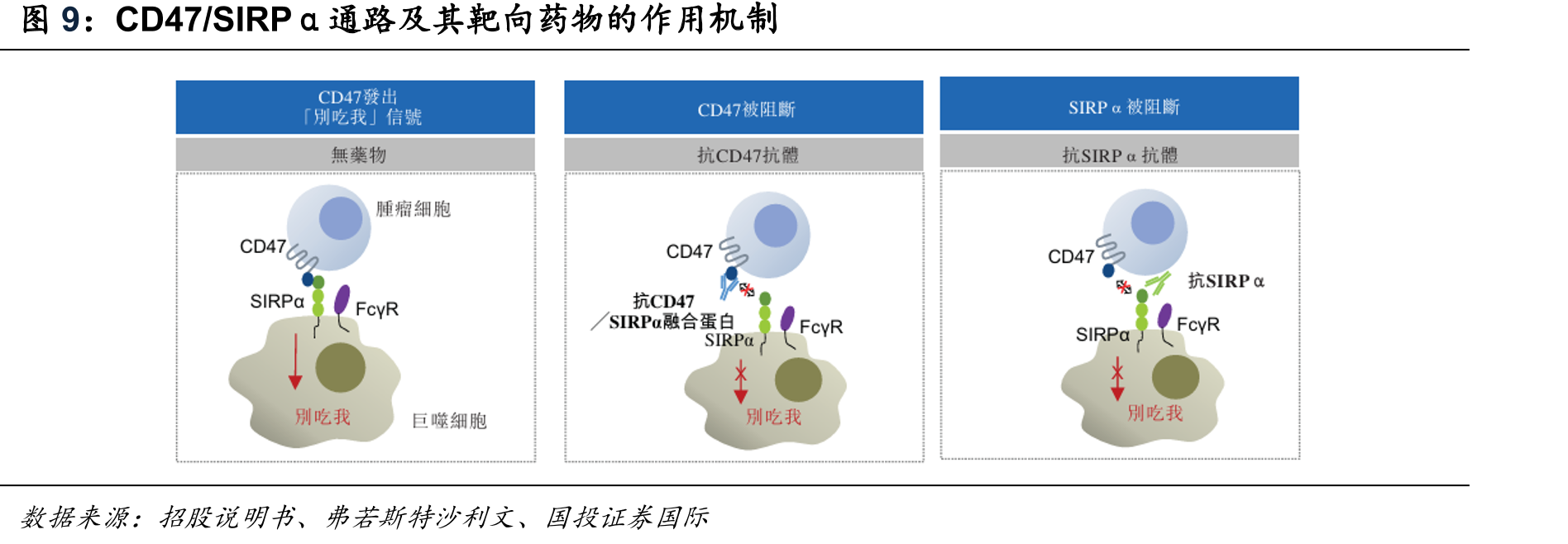 全球（中国除外）PD-1靶向双抗/双功能融合蛋白竞争格局（截至2025年12月_第4页