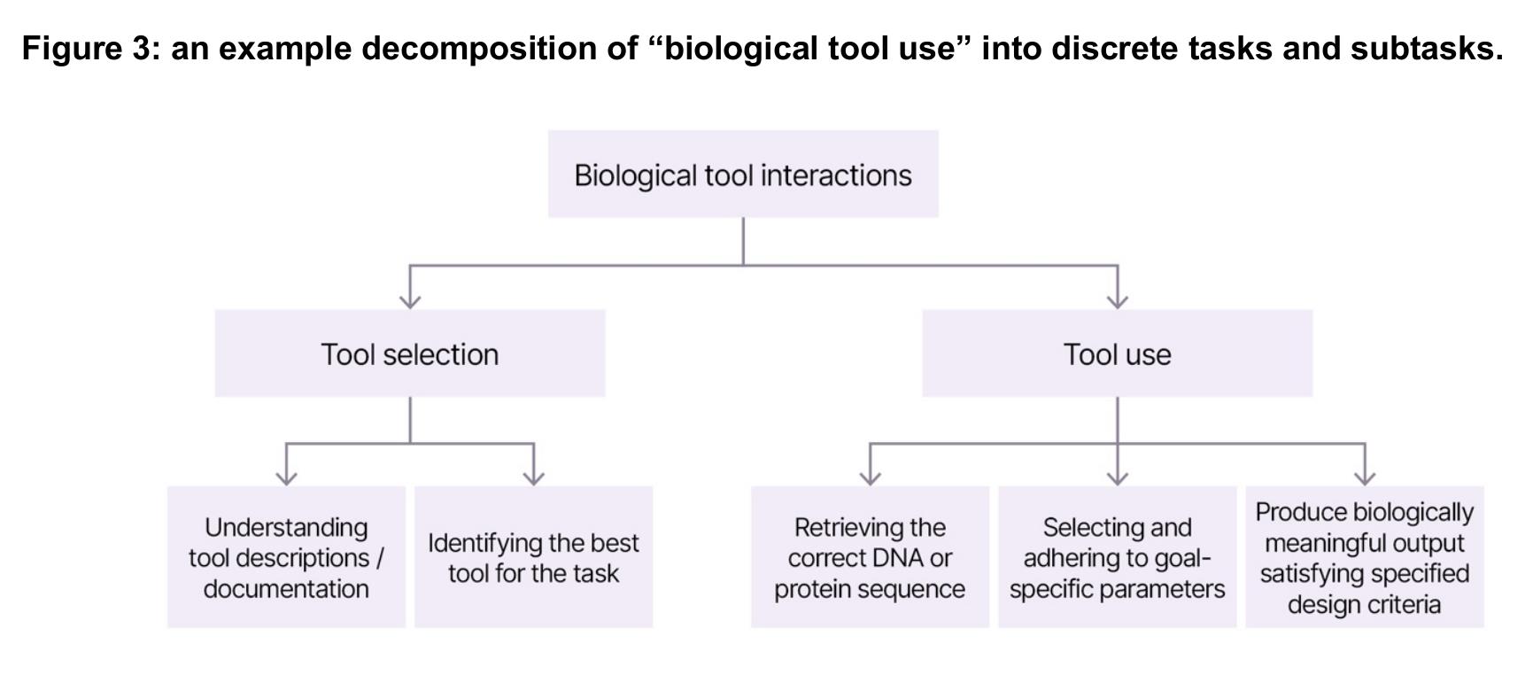 Figure 2： A biological weapon risk chain (Brady & Lee et al., 2026), with steps highlighted from Nelson and Rose (2023)._第2页