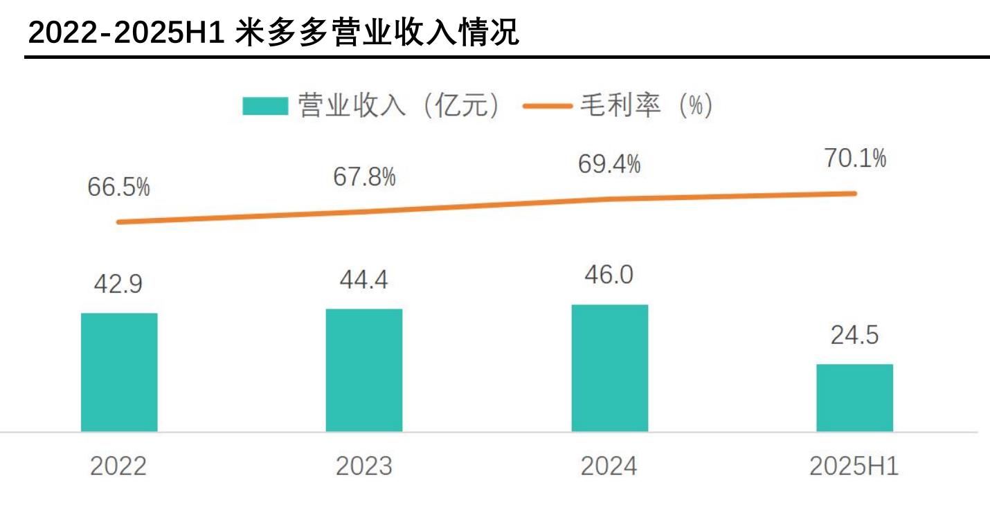 2024年中国跨境电商营销服务供应商头部竞争格局_第4页