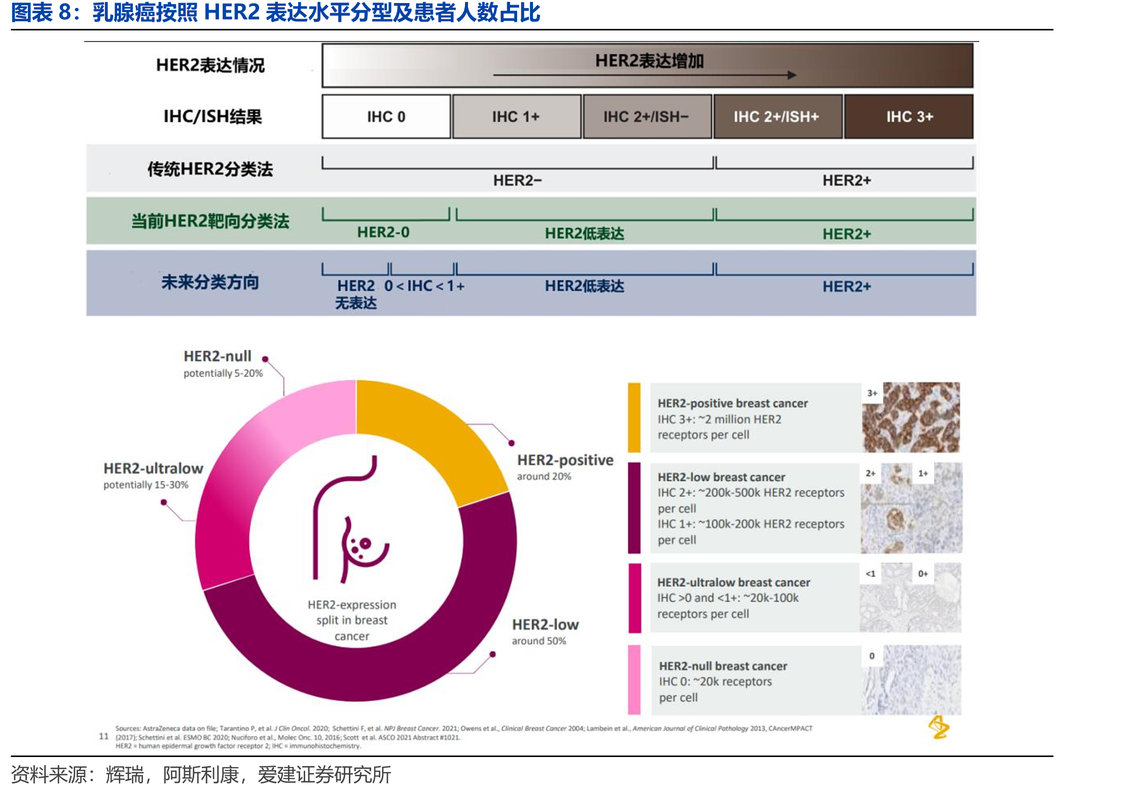 全球五大畅销放射性药物_第5页