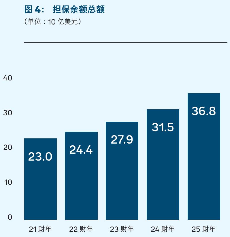 表21：2025财年咨询服务项目支出_第5页