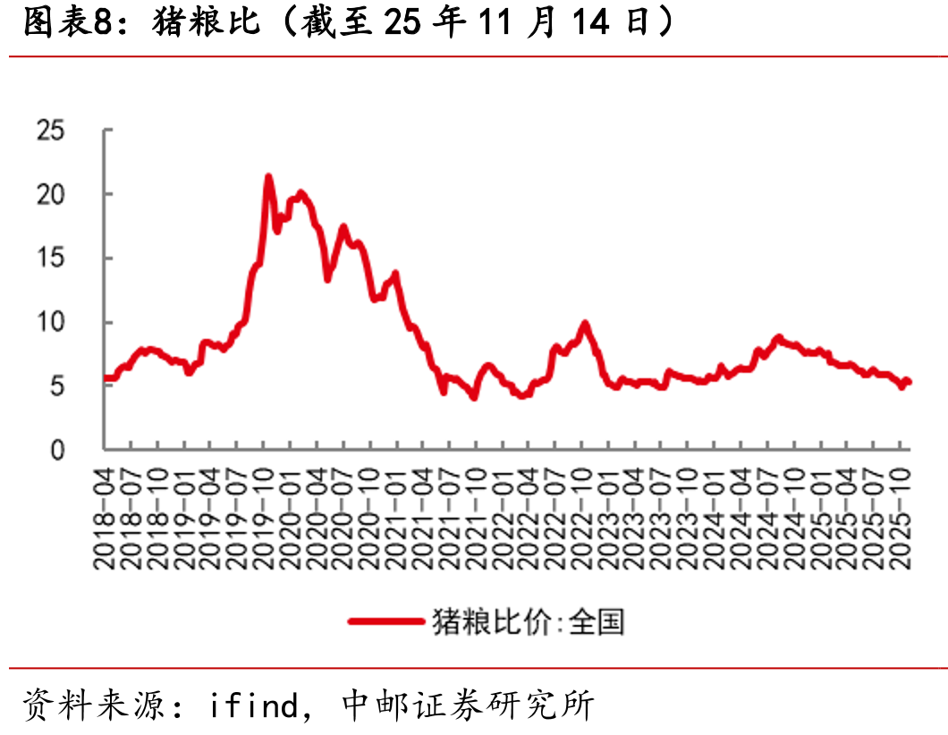 山东烟台毛鸡收购价（截至25年11月14日）_第3页