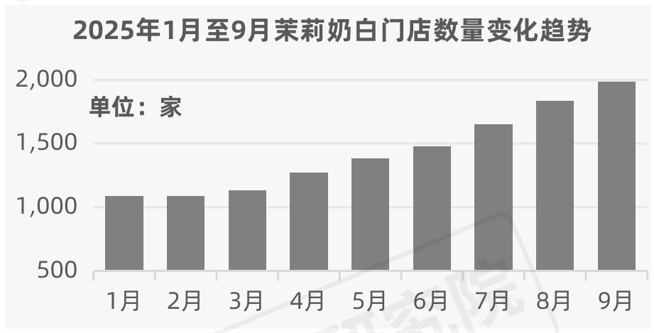 2025年季度新锐餐饮品牌_第3页