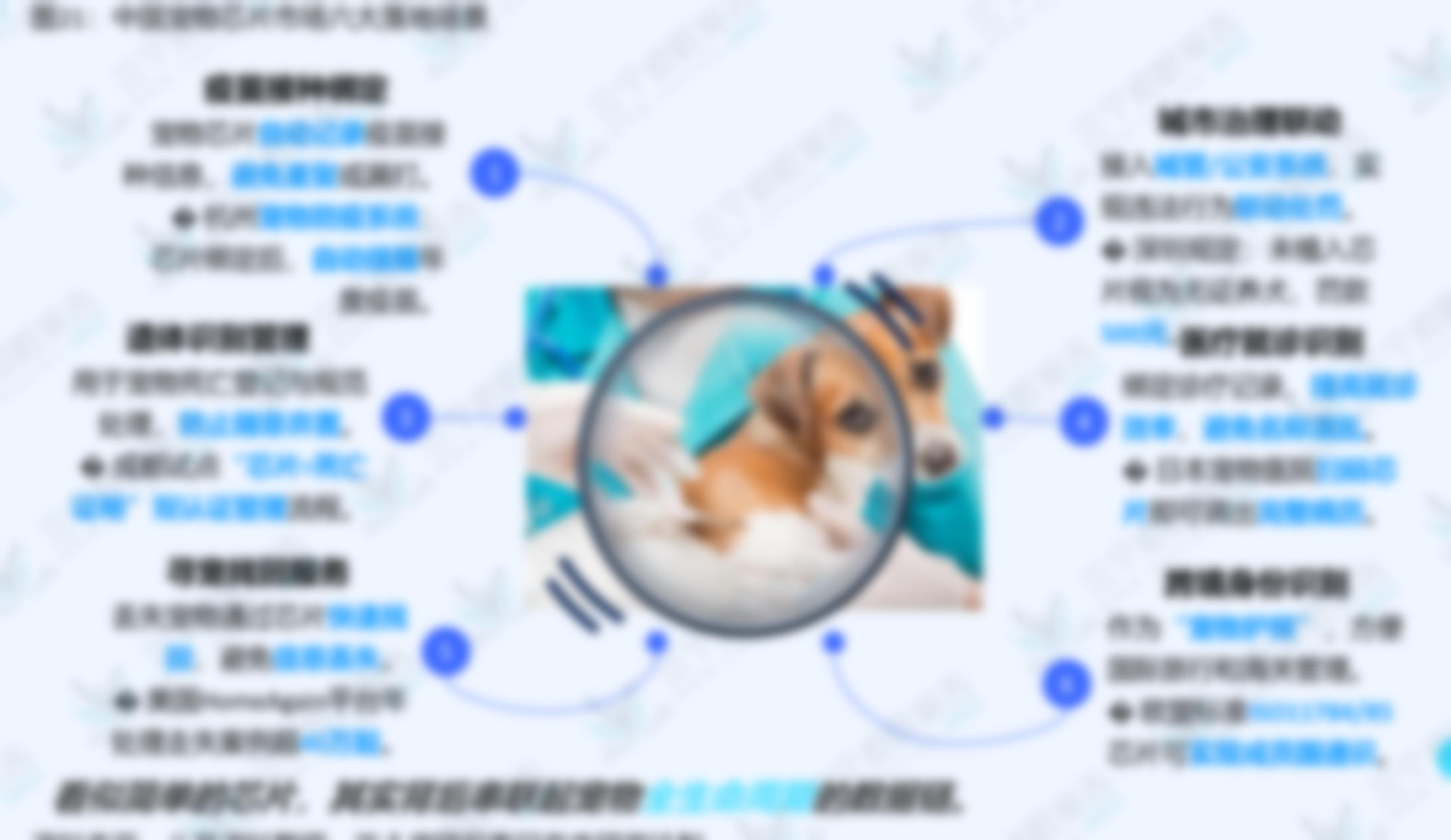 图12：中国宠物芯片中游厂商工艺流程_第3页