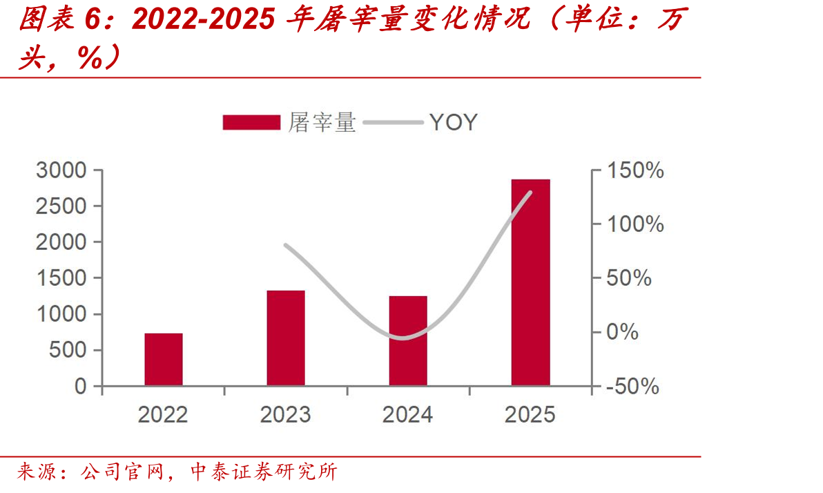2022-2025年屠宰量变化情况（单位：万