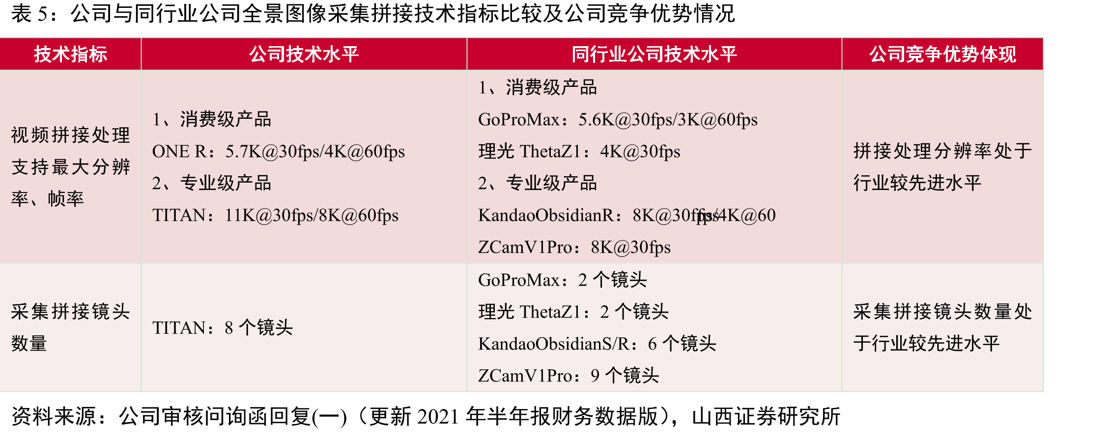 2021-2024年全球专业级全景相机企业销售额占比_第4页