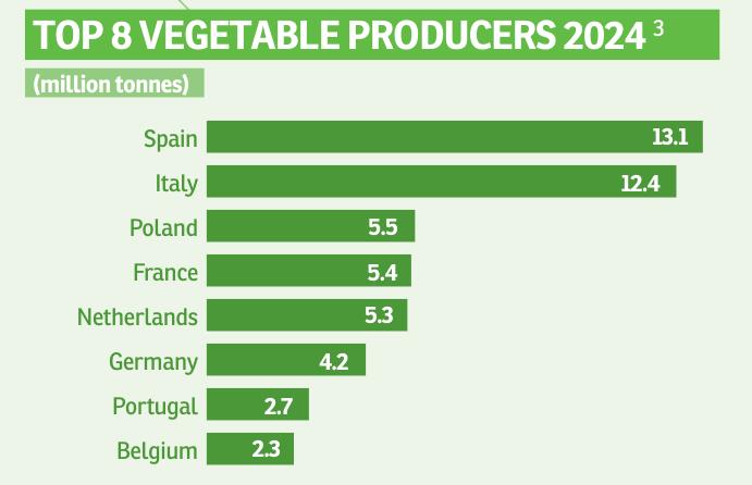 TOP8VEGETABLEPR0DUCERS20243