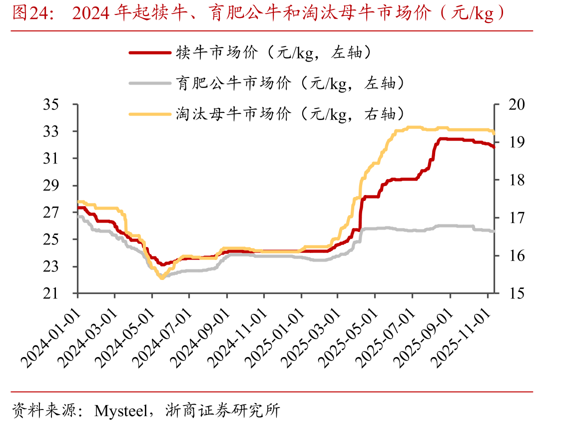2024年起犊牛、育肥公牛和淘汰母牛市场价（元/kg）