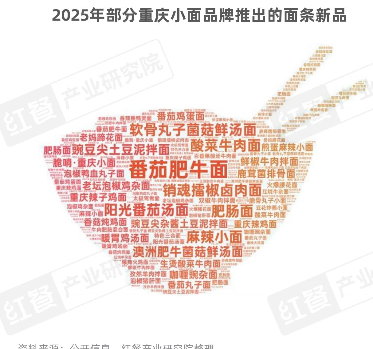 2026年全国各线级城币重庆小面门店数占比_第4页