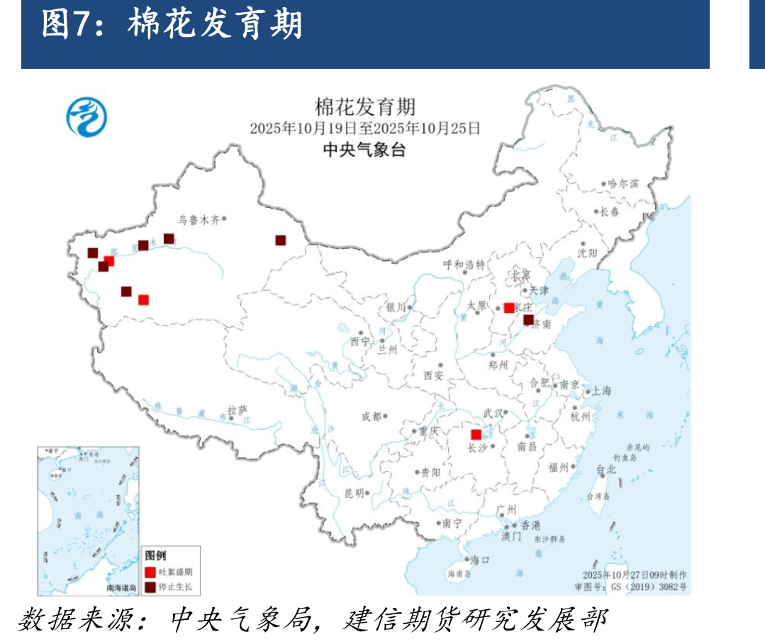2025年中国棉花实播面积调查_第5页
