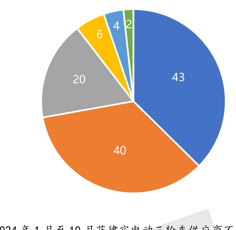 2024年1月至10月菲律宾电动自行车供应商不_第2页