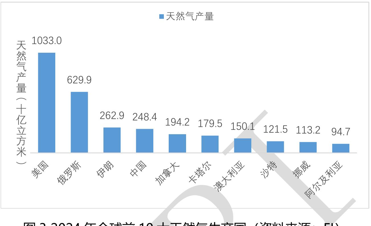 图32024年全球前10大天然气生产国_第3页
