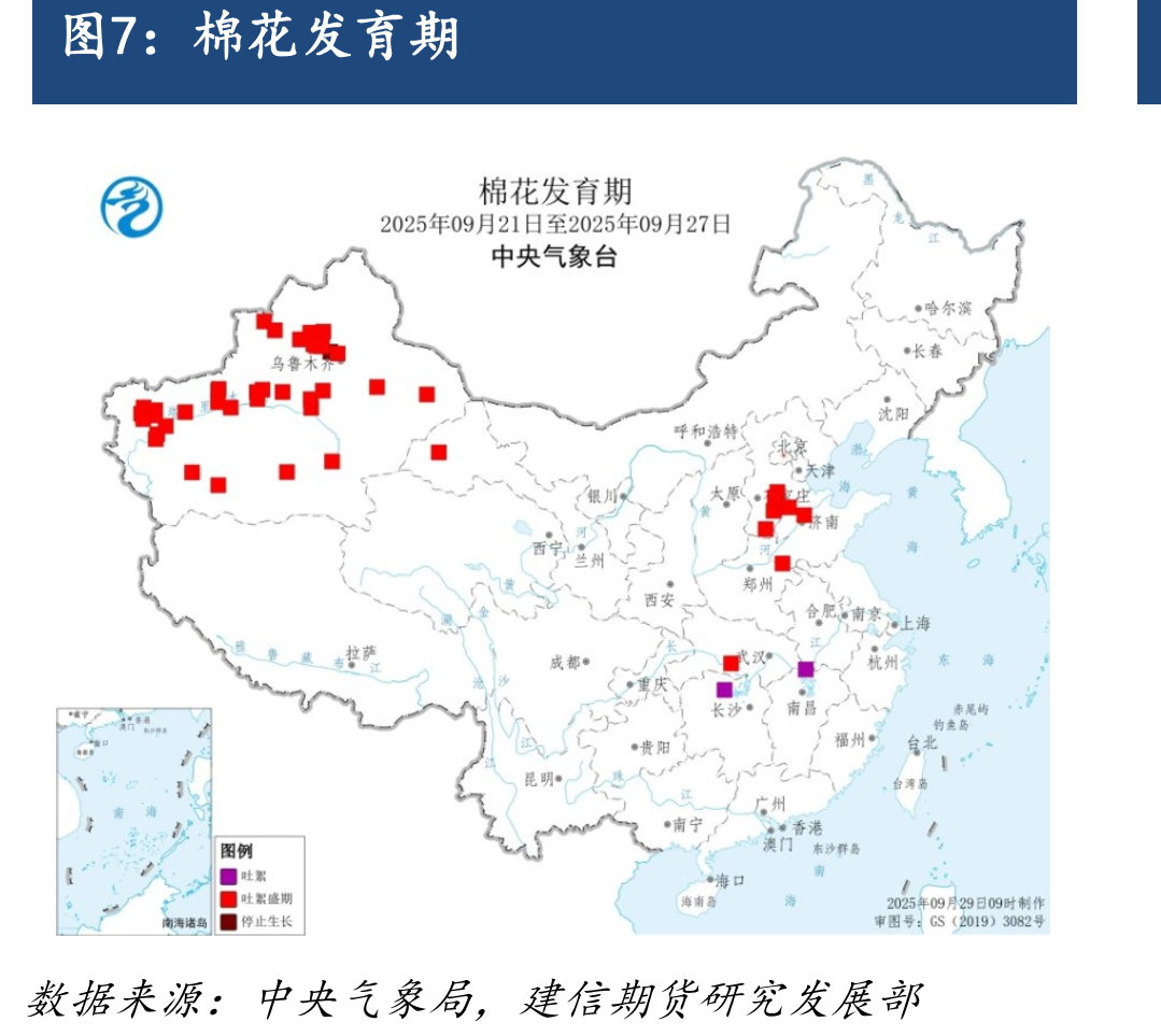 2025年中国棉花实播面积调查_第5页
