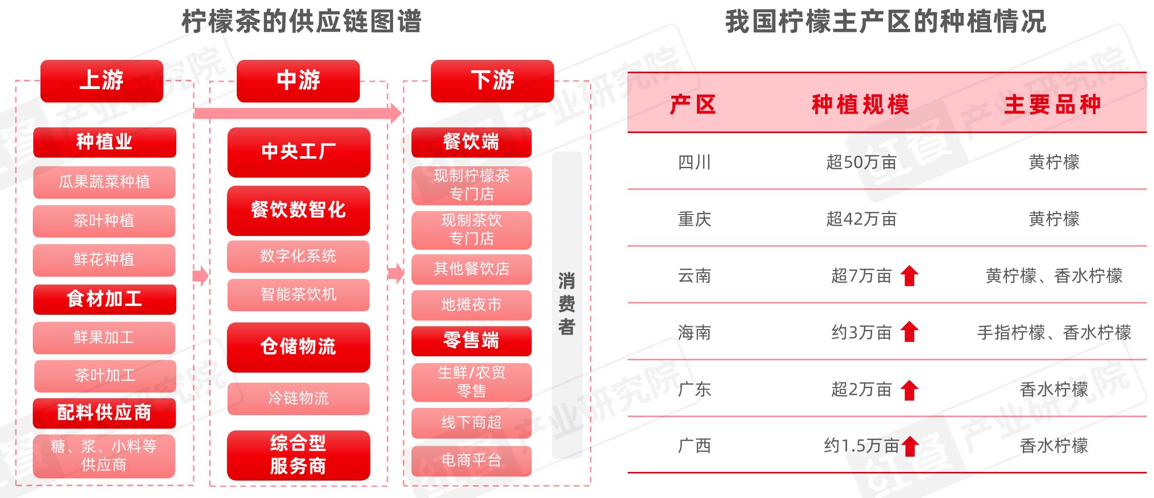2025年全国各区域现制柠檬茶门店数占比_第3页