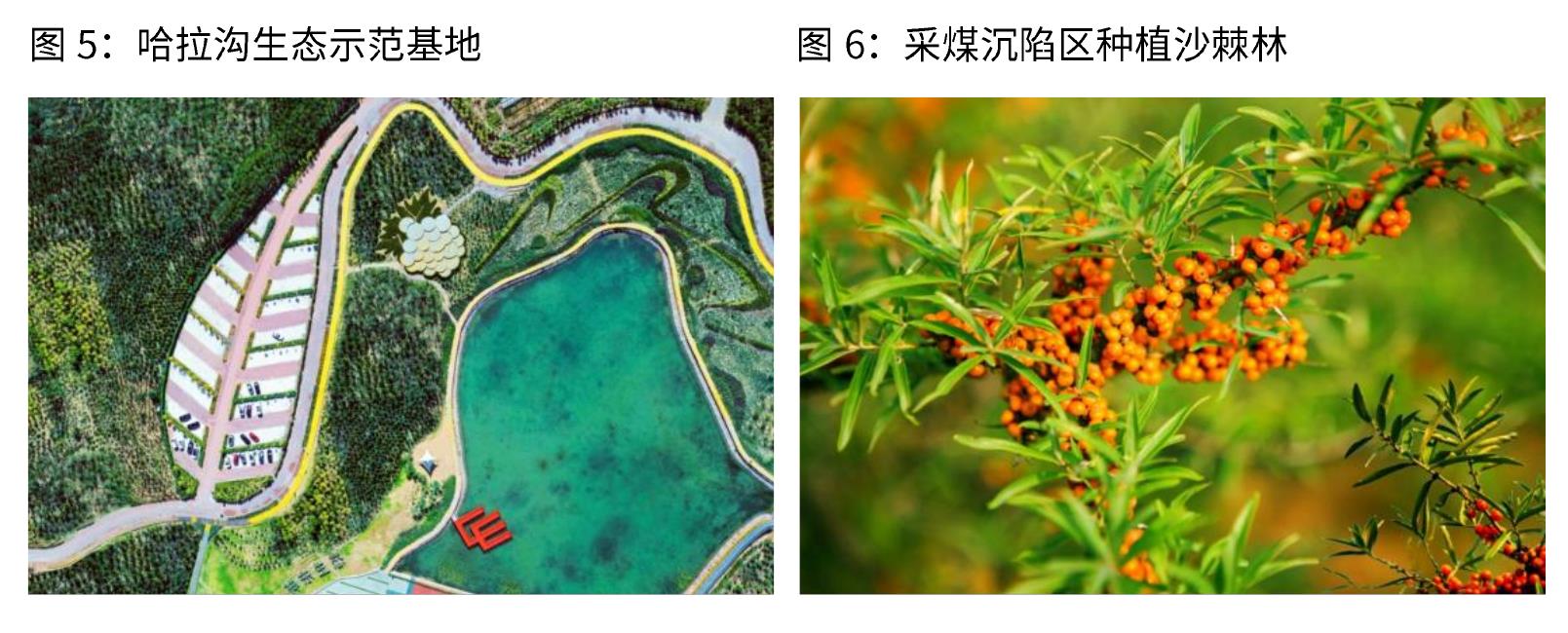 图 4：煤炭龙头把安全议题列为实质性议题之首（中国神化、兖矿能源、中煤能源等）_第2页