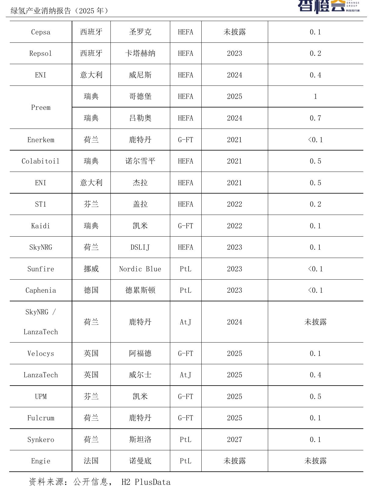 绿氢产业消纳报告（2025 年）