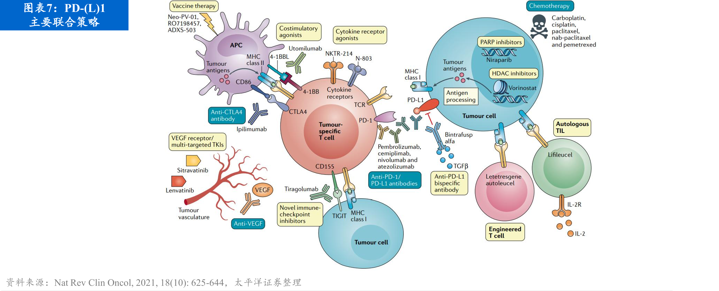 CS2009分子结构设计_第3页