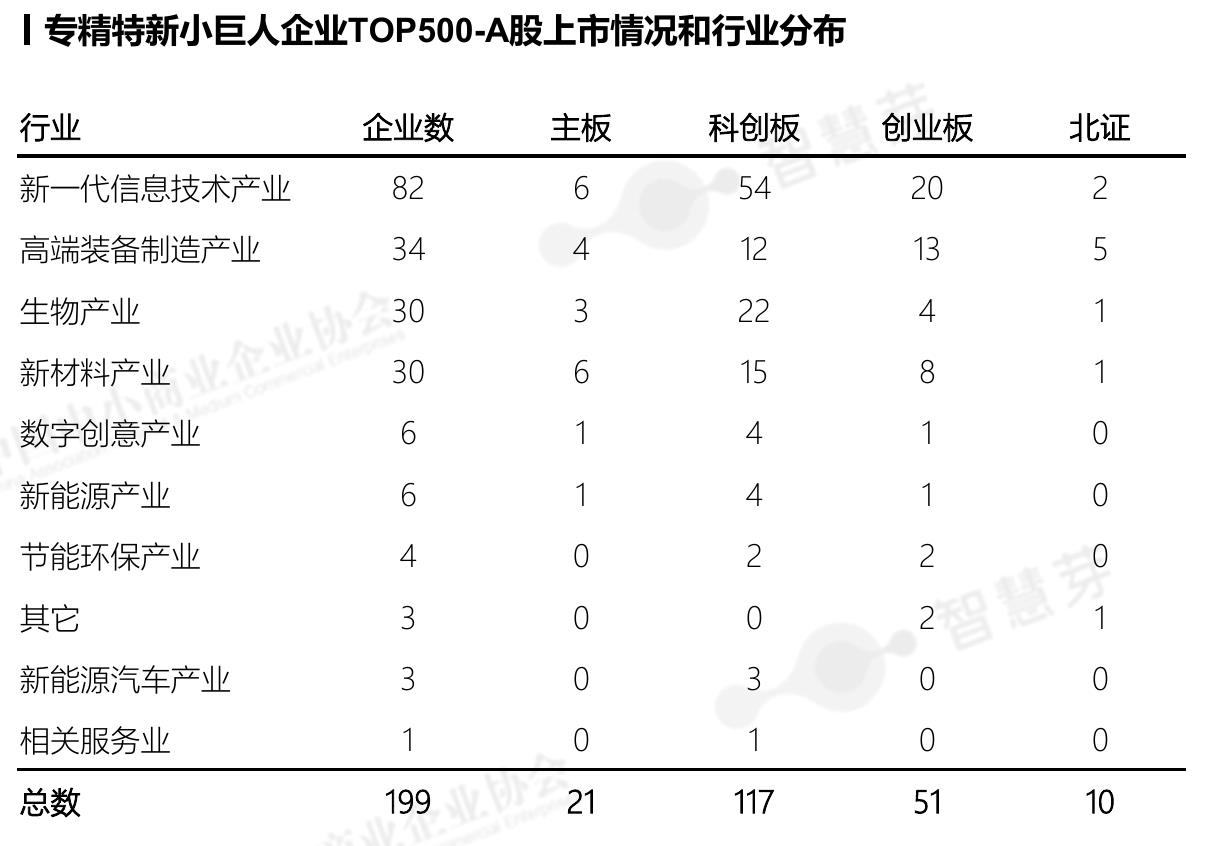 11.76万家国家级专精特新“小巨人”企业近5年有效专利梯度_第2页