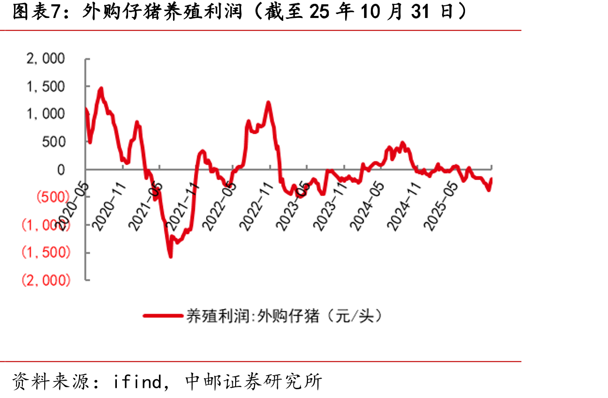 山东烟台毛鸡收购价（截至25年10月31日）_第4页