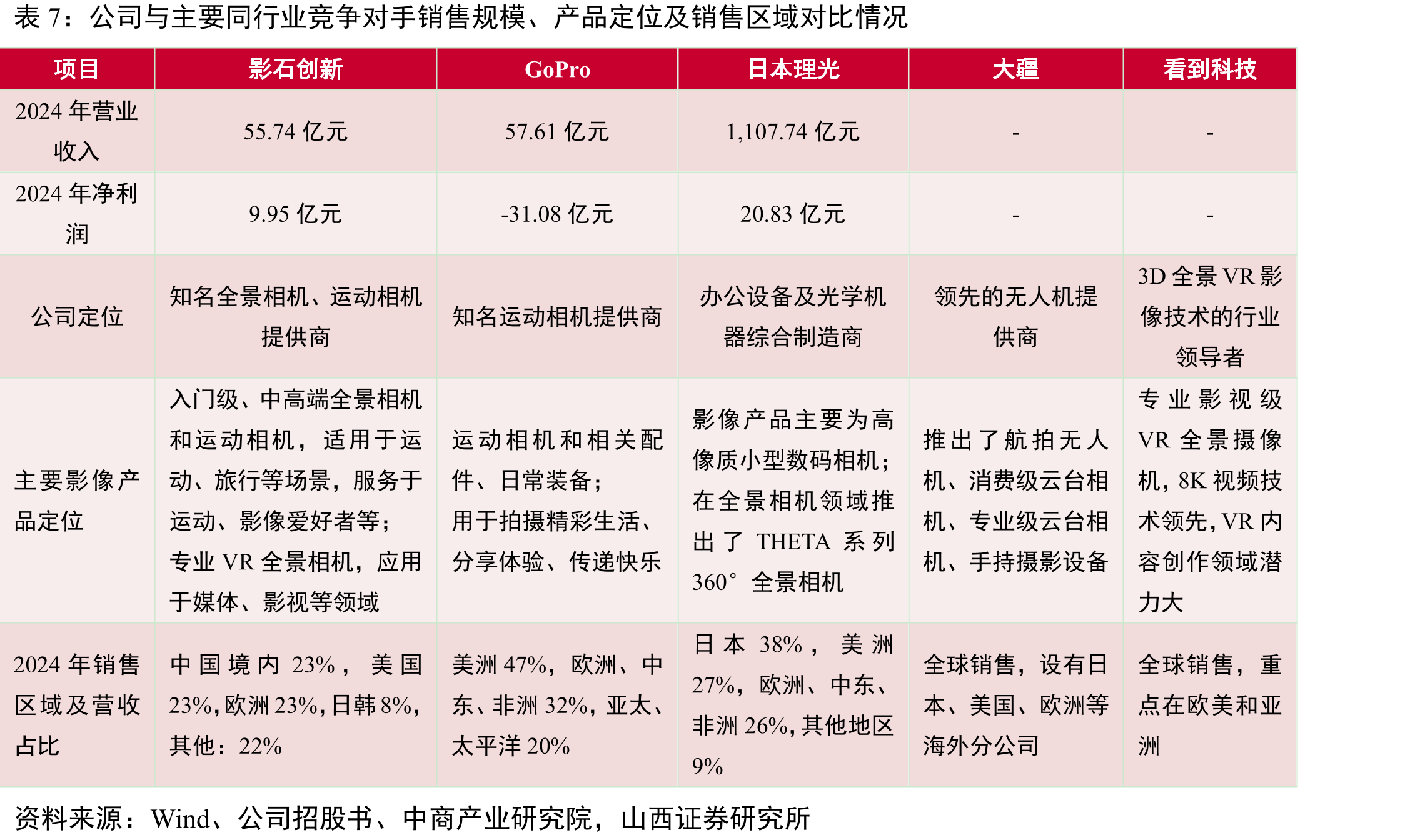 2021-2024年全球专业级全景相机企业销售额占比_第3页