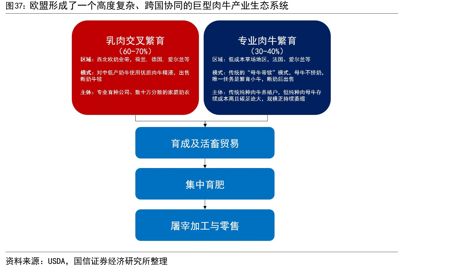 欧盟形成了一个高度复杂、跨国协同的巨型肉牛产业生态系统
