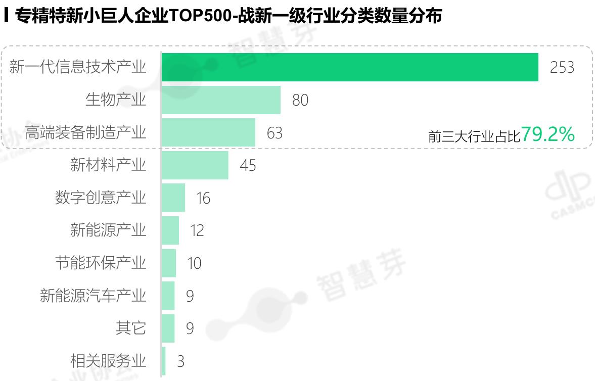 11.76万家国家级专精特新“小巨人”企业近5年有效专利梯度_第5页