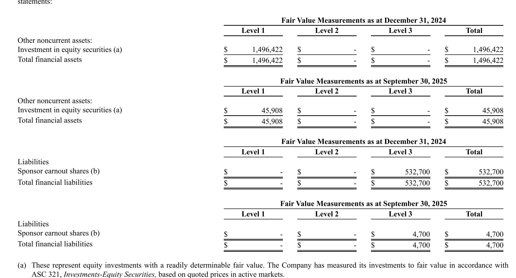 Unaudited Pro Forma Condensed Combined Statement of Operations For the year Ended December 31, 2024_第5页